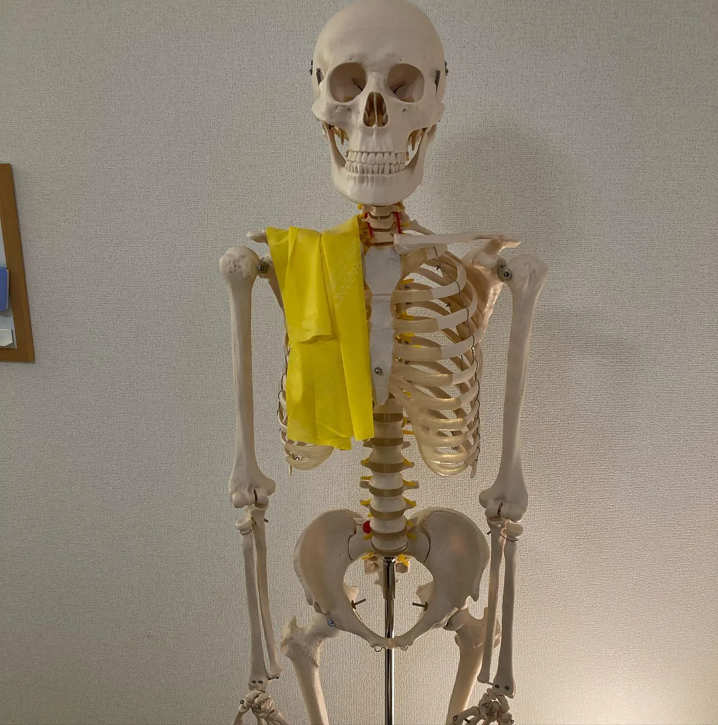 姿勢改善なら当院へ！