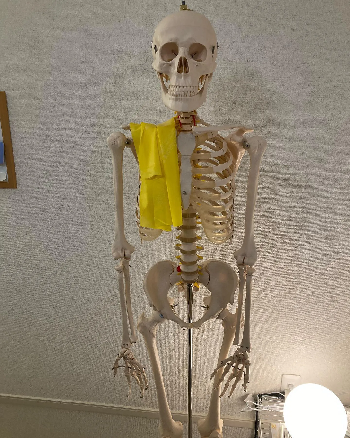 姿勢が気になる方は当院へ！