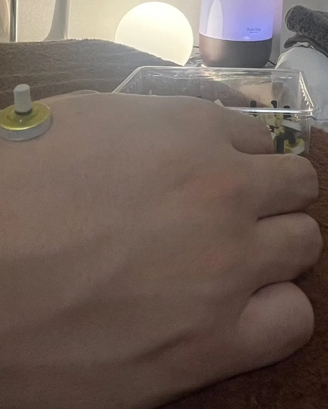 寒さ対策、気の調整にはお灸！