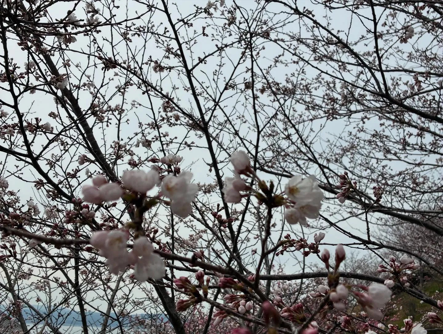 リラックスも大事です！